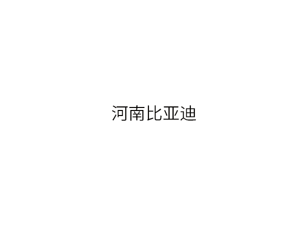 河南比亚迪