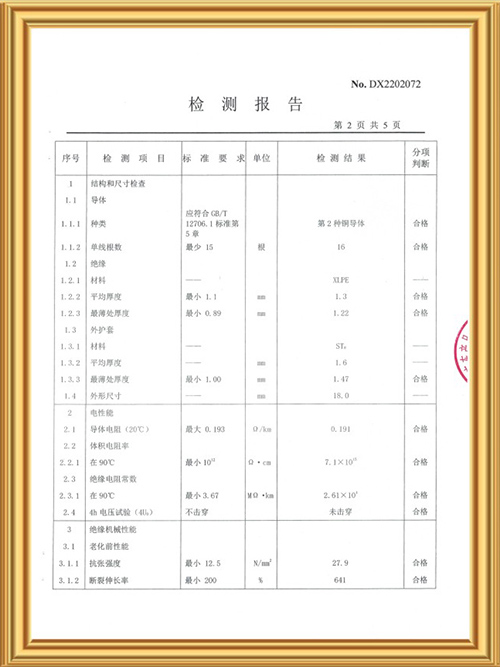 检测报告