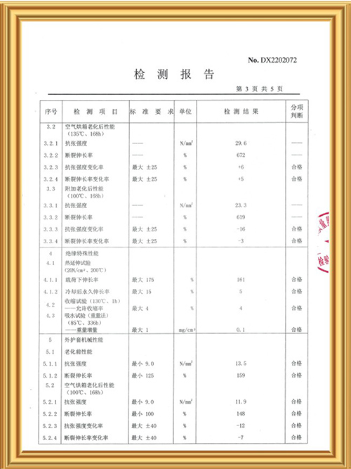 检测报告