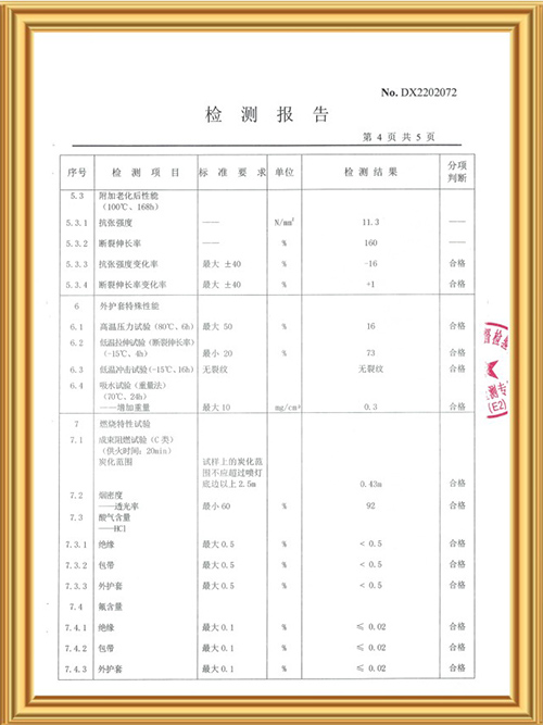 检测报告