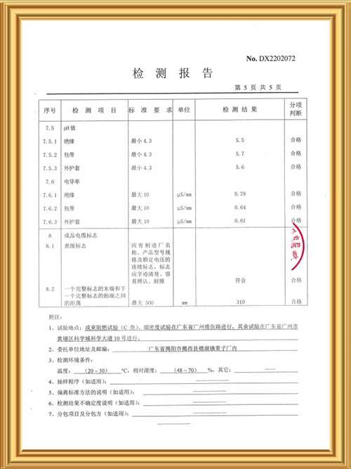 检测报告
