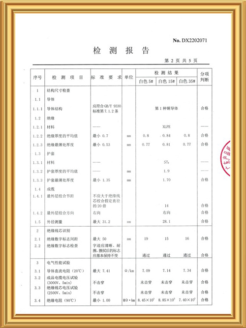 检测报告