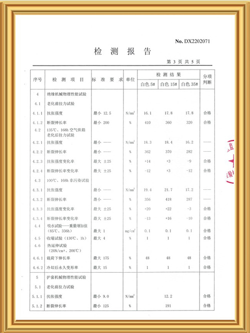 检测报告