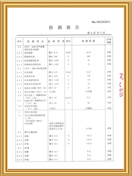 检测报告