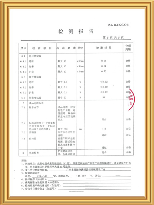检测报告
